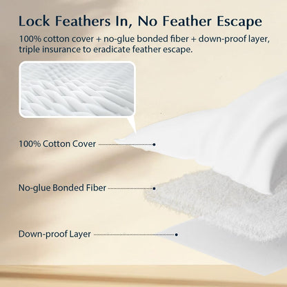 Pacific Coast Premium Goose Feather & Down Bed Pillows - Hotel Quality, Medium Support for Side & Back Sleepers | Standard Size 1-Pack