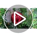 9Ft Prelit Christmas Garland with 50 Warm White Lights & Holiday Ornaments - Indoor Outdoor Decor