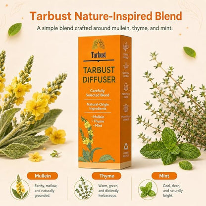 Botanical Fragrance Diffuser Accessory 2 Pack - Mullein, Thyme & Mint
