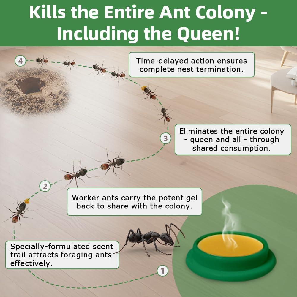 Skiennix Ant Killer Gel Bait Stations - 36 PCS Extra Strength Traps for Carpenter Ants | Safe & Easy to Use