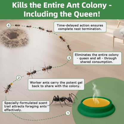 Skiennix Ant Killer Gel Bait Stations - 36 PCS Extra Strength Traps for Carpenter Ants | Safe & Easy to Use