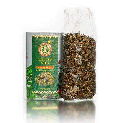 Iceland Moss, Wild Harvested, 2.65 OZ (75 Grams) – Herbal Tea (Cetraria islandica)