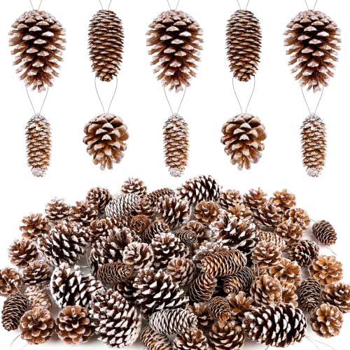 Christmas Snow White Pine Cone Ornaments Set - 84 Pieces, Assorted Sizes & Styles - White Variation