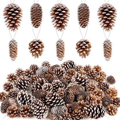 Christmas Snow White Pine Cone Ornaments Set - 84 Pieces, Assorted Sizes & Styles - White Variation