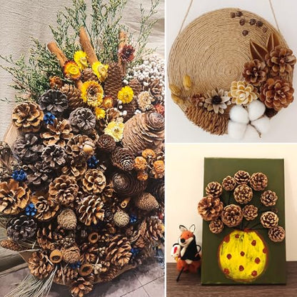 Natural Pine Cone Decorations for Christmas & Autumn - 65 pcs Bulk Set