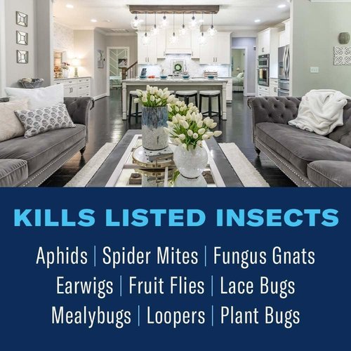 BioAdvanced Houseplant Insect & Mite Control - 24 oz Ready-to-Use Spray for Fungus Gnats & Fungal Diseases