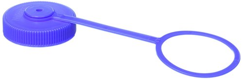 Nalgene Lid Wide Mouth Loop-Top Water Bottle (Blue)