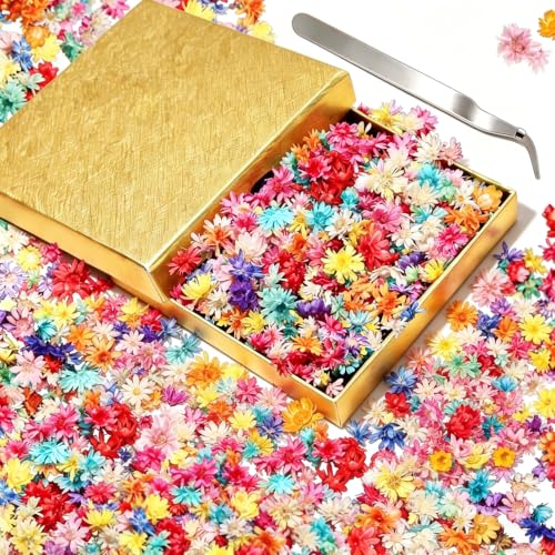 580Pcs Mini Dried Flowers for Resin - Small Pressed Flowers for DIY Crafts - Vibrant Colors