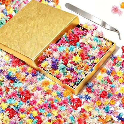 580Pcs Mini Dried Flowers for Resin - Small Pressed Flowers for DIY Crafts - Vibrant Colors