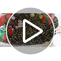 Black and Gold Sequin Christmas Tree Skirt 36 Inch Velvet Holiday Decor