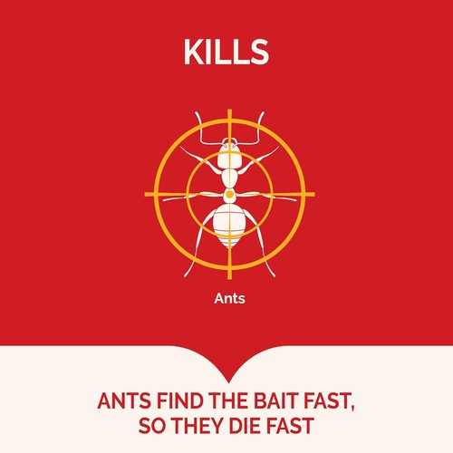 Hot Shot Ultra Ant Bait - Advanced Liquid Formula Kills Household Ants Fast | 4 Count Pack