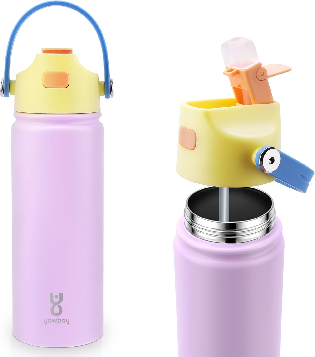 Skiennix 18 Oz Insulated Water Bottle - Leakproof Stainless Steel with Straw Lid & Easy Carry Handle | Pink