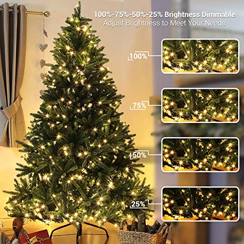 Christmas String Lights 33ft 100 LED Color Changing with Remote - Warm White & Multicolor