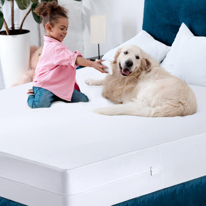 Utopia Bedding Mattress Protector - 100% Waterproof & Bed Bug Proof | Queen Size, Pack of 4