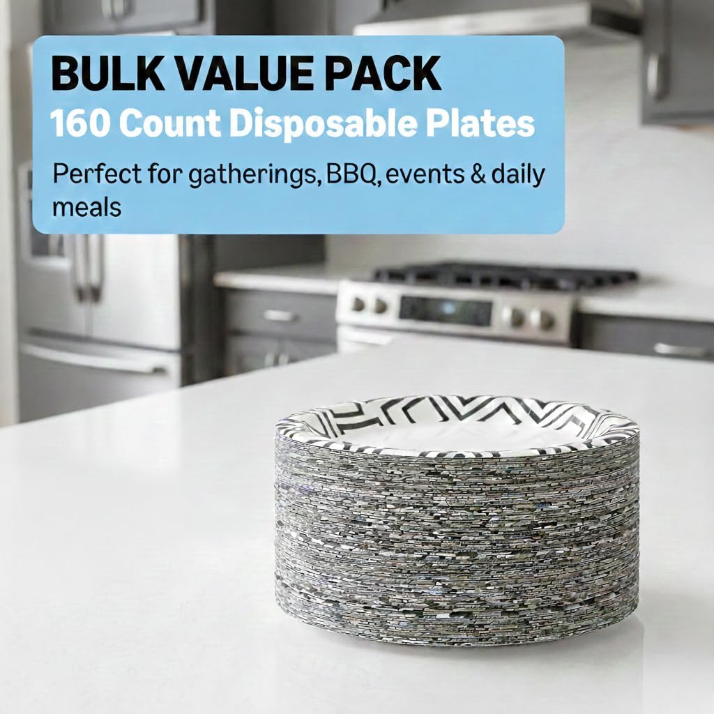 Paper Plates - 9 Inch Decorative Disposable Dinnerware | 160 Count, Soak Proof & Microwave Safe (Black)