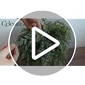 12 Pcs Artificial Cedar Stems - 18 Inch Holiday Greenery for Christmas Decor - Real Touch