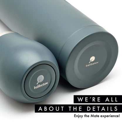 BALIBETOV Complete Yerba Mate Set - Modern Mate Gourd, Thermos, Yerba Container, Bombilla and Cleaning Brush Included - All Premium Quality 304 18/8 Stainless Steel (GRAY)