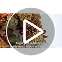 24-Inch Fall Wreath with Mums Dahlias Queen Anne's Lace - Style-5