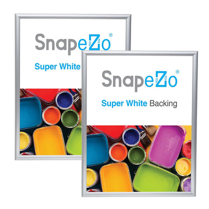 SnapeZo 2-Pack 18x24 Inches Silver Poster Frames, Front-Loading Snap Frame, 1" Aluminum Profile, Wall Mounted