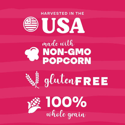 Pop n' Dulge Gourmet Popcorn Gift Set - 16 Pcs with 5 Flavors & Seasonings | Perfect Movie Night Snacks
