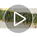 6Ft Real Touch Cedar Garland - Full Artificial Green Christmas Decor