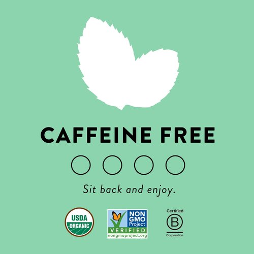 Choice Organics - Organic Peppermint Tea (1 Pack) - Compostable - Caffeine Free - 16 Organic Herbal Tea Bags
