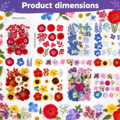 76 Pcs Natural Dried Flowers for Resin Crafts, Pressed Flower Decorations