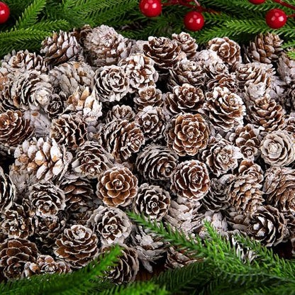 Snow 700 Pcs Christmas Natural Mini Pine Cones - Small Xmas Snow Pinecones Decor