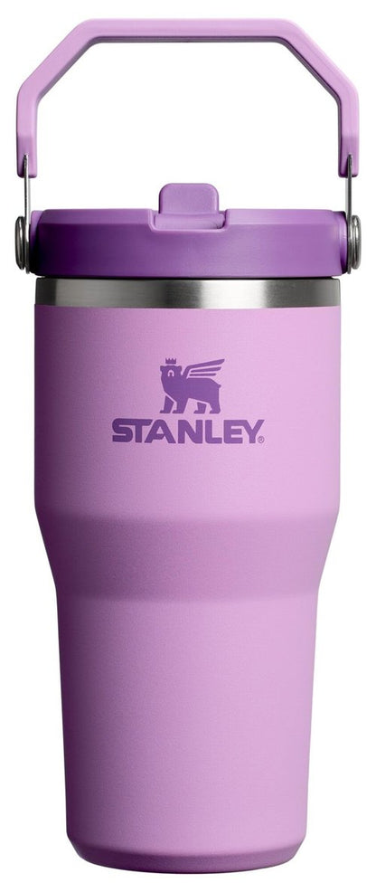 Stanley IceFlow 2.0 Flip Straw Tumbler with Handle 20 oz | Twist On Lid and Flip Up Straw | Leak Resistant Water Bottle | Insulated Stainless Steel | BPA-Free | Lilac