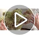 Dried Hydrangea Flowers Set - Large Natural Preserved Blooms for Wreaths & Decor