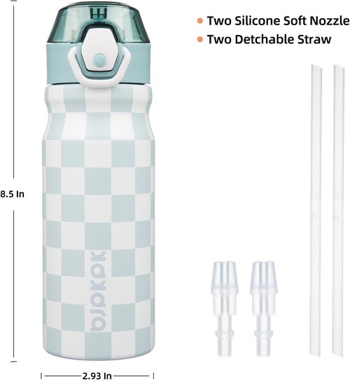 BJPKPK Stainless Steel Insulated Water Bottle - 18oz Reusable Thermal Flask with Straw Lid | Plaid Design