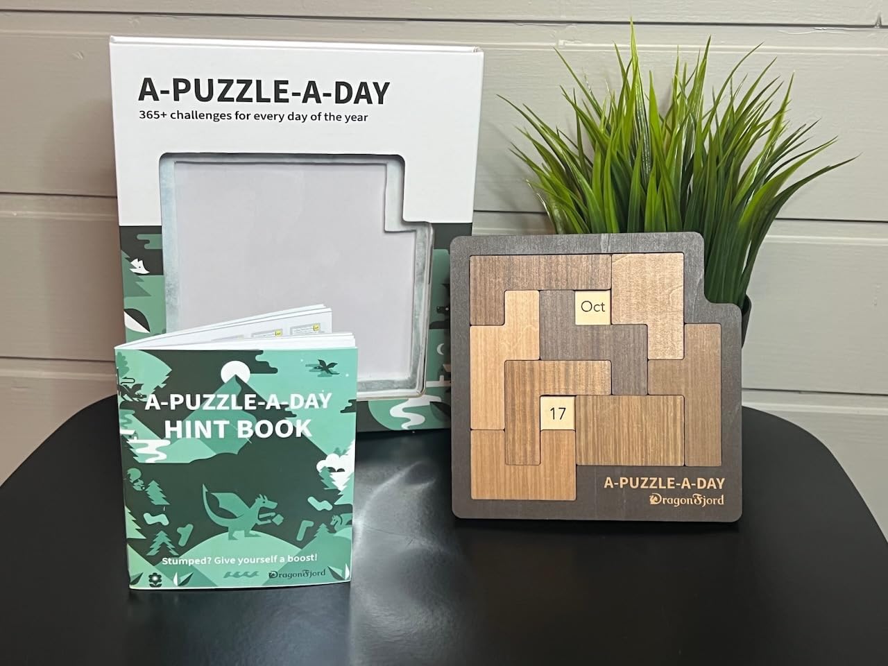 DragonFjord A-Puzzle-A-Day Premium Boxed Edition | 365+ Daily Challenges with Magnetic Storage & Hint Book