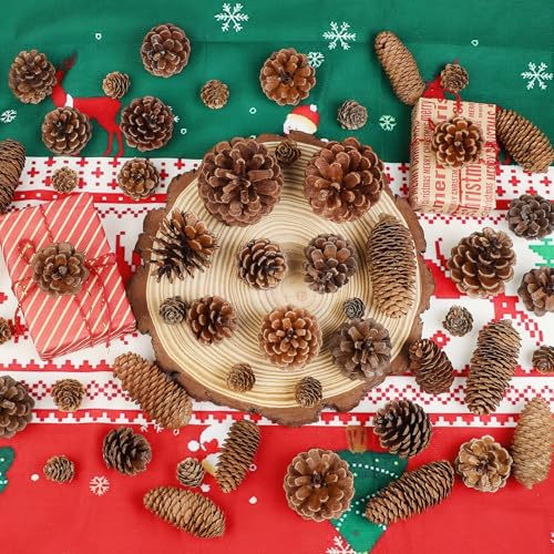 Natural Pine Cone Decorations for Christmas & Autumn - 65 pcs Bulk Set
