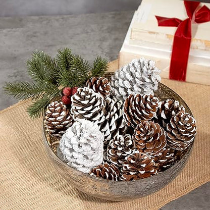 ANDALUCA Frosted Pinecone Vase Fillers - Scented Holiday Decor, 1 Bag