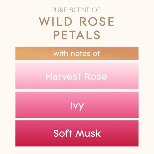 Glade Large Candle Jar - Essential Oil Infused Air Freshener | Wild Rose Petals, 16oz