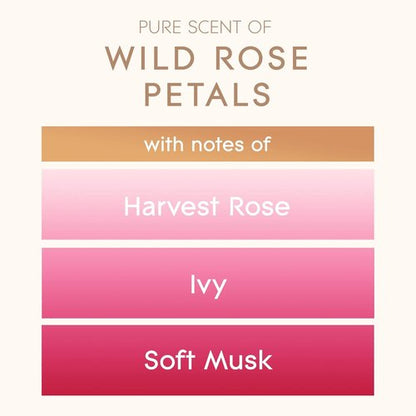Glade Large Candle Jar - Essential Oil Infused Air Freshener | Wild Rose Petals, 16oz