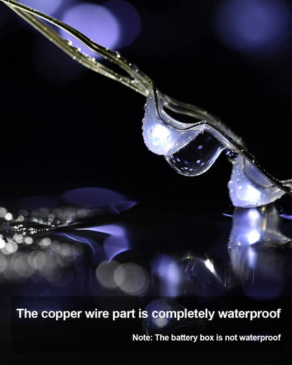 Skiennix 20 Pack Fairy Lights - Battery Operated 3.3ft Mini String Twinkle Copper Wire | Cool White for Weddings & Parties