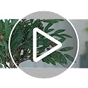 Realistic Faux Olive Branch Stems 6 Pack - 24 Inch Mediterranean Decor
