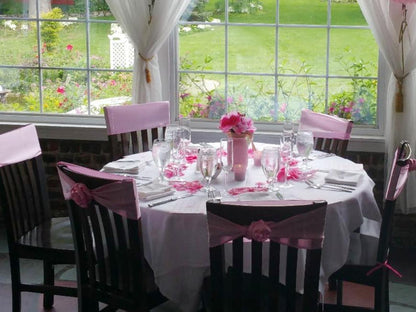 Skiennix Satin Chair Sashes - Elegant Tie Back Bows for Wedding & Party Decor | Light Pink (10 Pack)