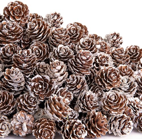 Snow 700 Pcs Christmas Natural Mini Pine Cones - Small Xmas Snow Pinecones Decor