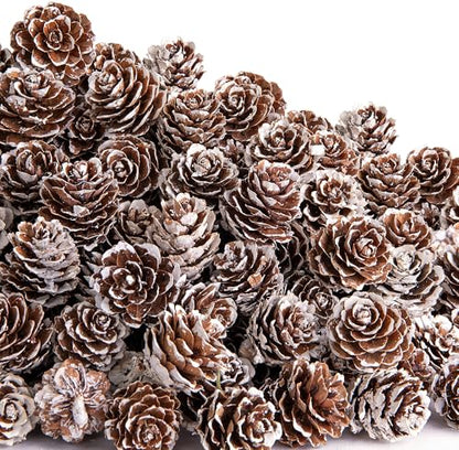 Snow 700 Pcs Christmas Natural Mini Pine Cones - Small Xmas Snow Pinecones Decor