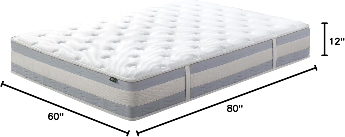 ZINUS 12 Inch Comfort Support Hybrid Mattress - Queen Size, Medium Plush, Fiberglass Free, Motion Isolation
