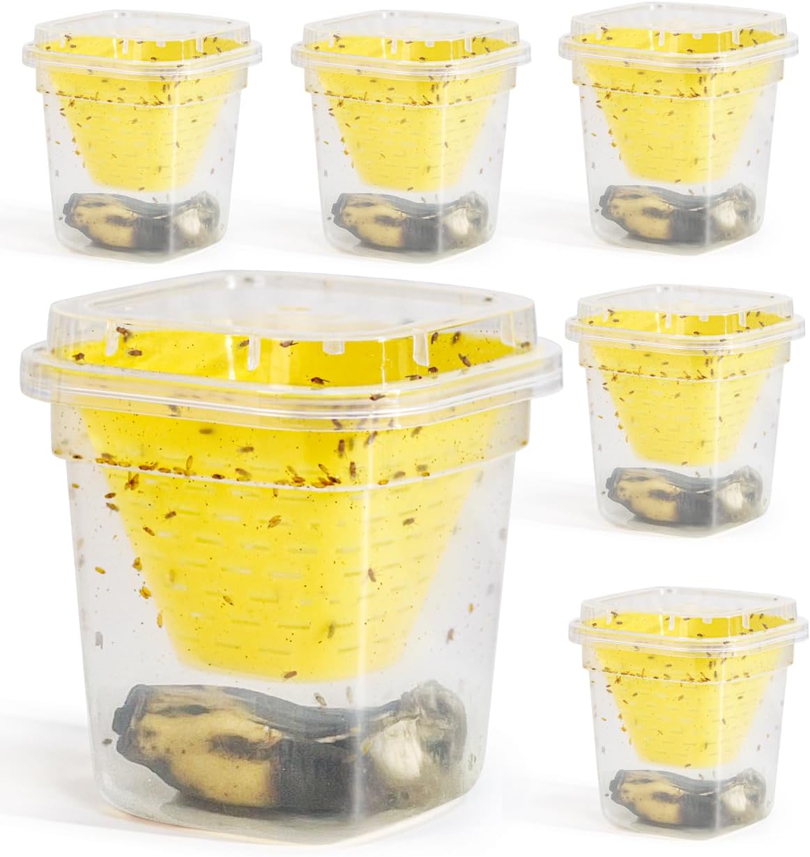 Reusable Fruit Fly Trap by Skiennix - Non-Toxic & Safe for Kids and Pets | Easy Kitchen Control - 6 Pack