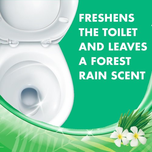 Lysol Toilet Bowl Cleaner Gel - Stain Removal & Disinfection - Forest Rain Scent, 24oz (Pack of 2)