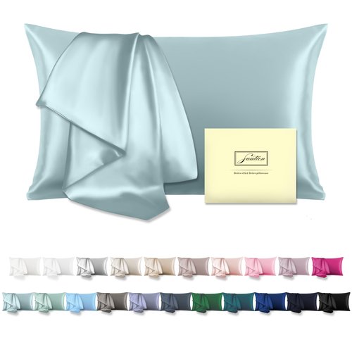 Mulberry Silk Pillowcase for Hair and Skin Queen Size 20"X 30" Pillow Case with Hidden Zipper Soft Breathable Smooth Cooling Silk Pillow Covers for Sleeping (Haze Blue,Queen,1Pcs)
