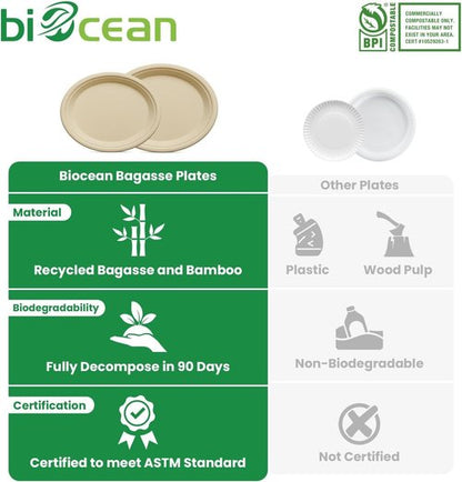 Compostable Oval Plates by Eco-Choice | Heavy-Duty 12.5 Inch Biodegradable Sugarcane Plates - 125 Pack