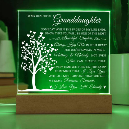 To My Beautiful Granddaughter, You Are My Most Precious Treasure, Acrylic Plaque with Decorative Light, Heartwarming Gift for Granddaughter, Gift from Grandma or Grandpa, Birthday Christmas Gift Idea