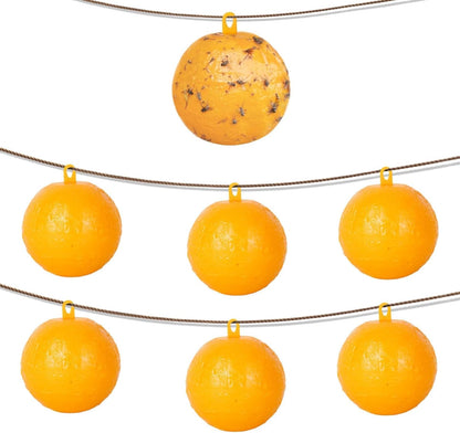 Skiennix Fly Sticky Trap Balls - 6 PCS Outdoor Fruit Fly & Gnat Catchers for House Plants | Effective Bug Control
