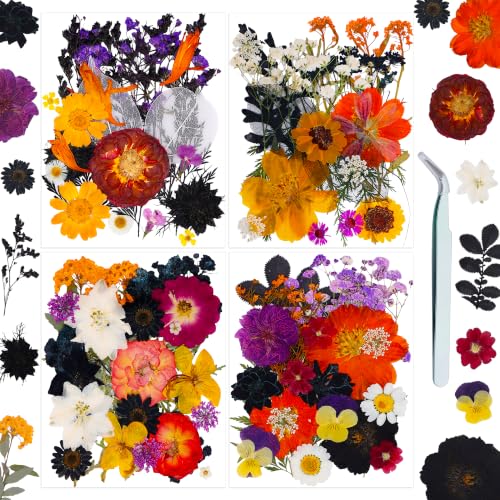 Halloween Dried Flowers for Crafts - Preserved Pressed Flowers Set, 100pcs