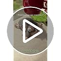 5-Pack Crochet Animal Coasters Pop Up Whimsical Mug Rugs for Home & Desk Decor